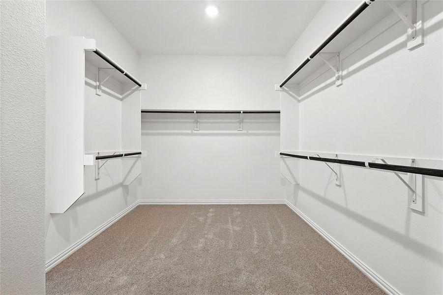 Spacious closet with carpet Spacious closet with carpet