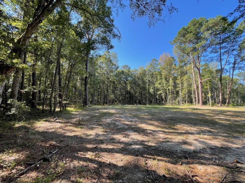 Natural landscape and outdoor views near  in Summerville (Image 20).