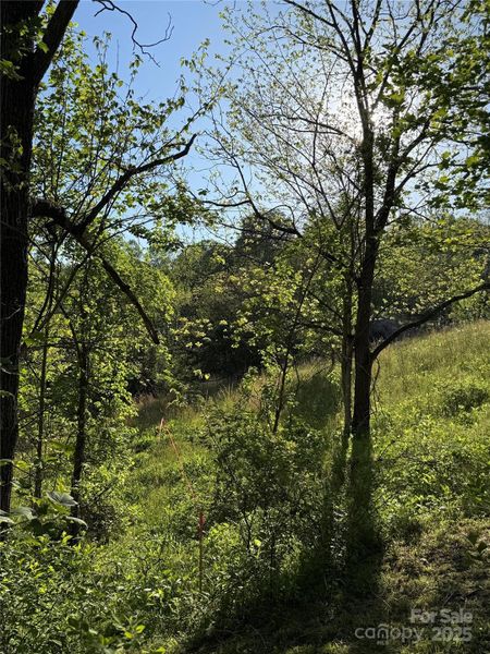 Sunset view from property Sunset view from property