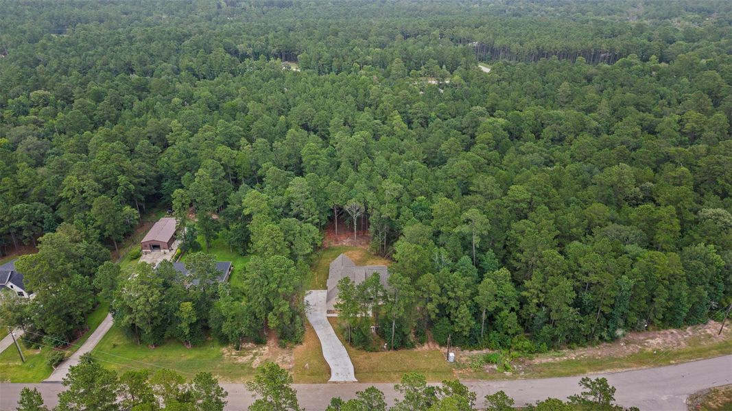 Natural landscape and outdoor views near in New Waverly (Image 33). Natural landscape and outdoor views near in New Waverly (Image 33).