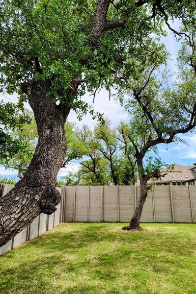 Exterior details and patio area of a home in Wolf Ranch, Georgetown (Image 4).
