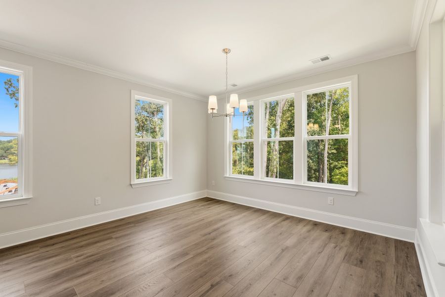 Spacious, unfurnished interior of a new home in Lakeside Saluda, Greenville (Image 17).