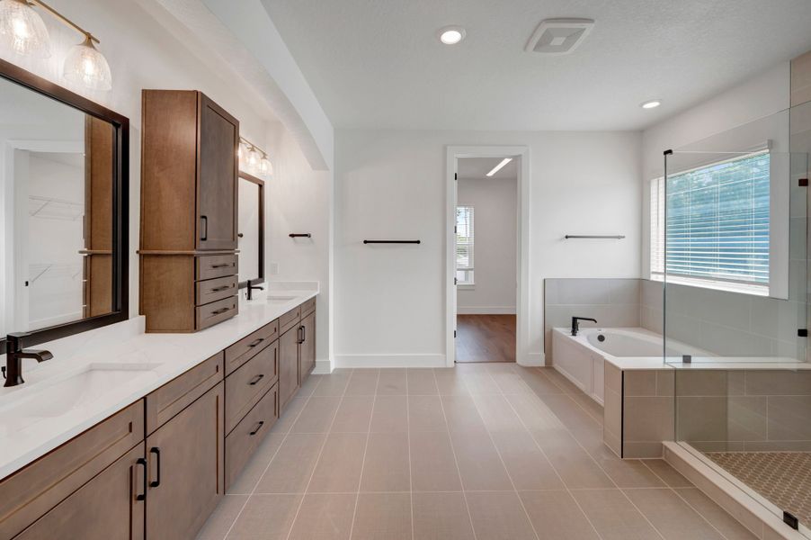 Owner's Bath