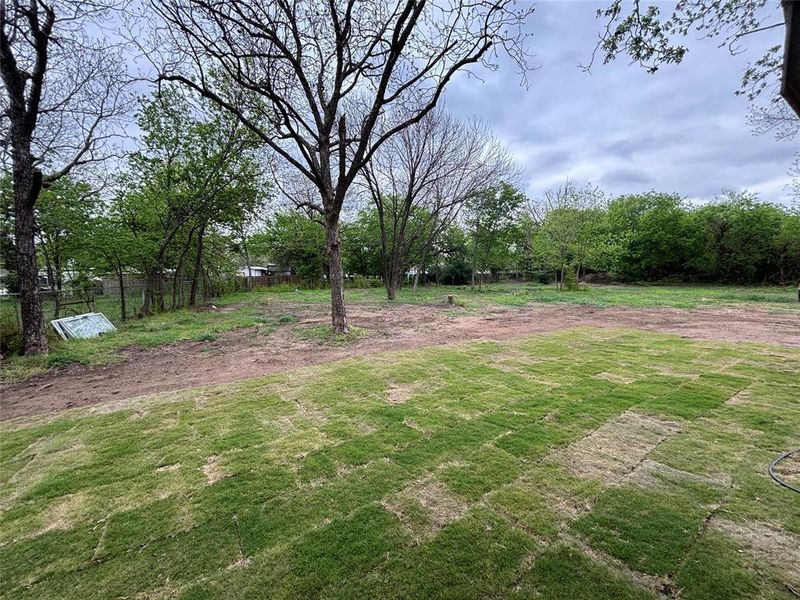 Natural landscape and outdoor views near  in Bowie (Image 23).