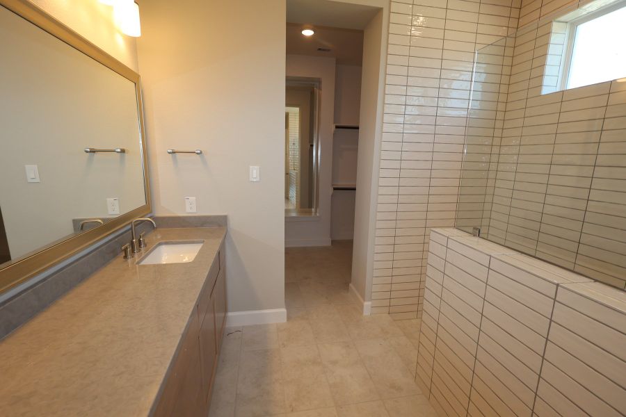 Owner's Bath