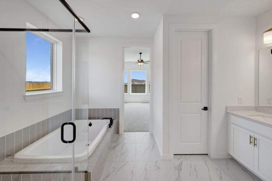 Owner's Bath