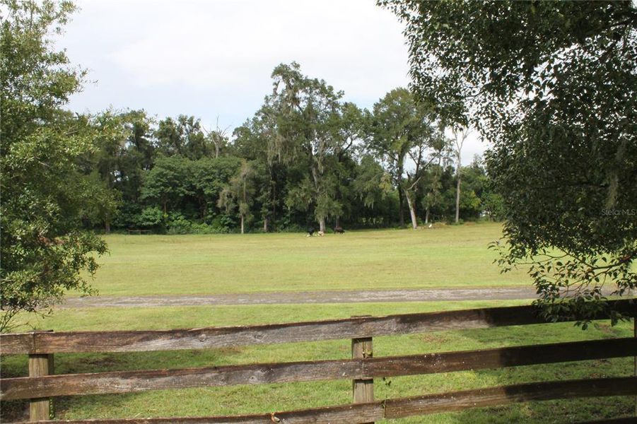 Natural landscape and outdoor views near in Ocala (Image 17). Natural landscape and outdoor views near in Ocala (Image 17).