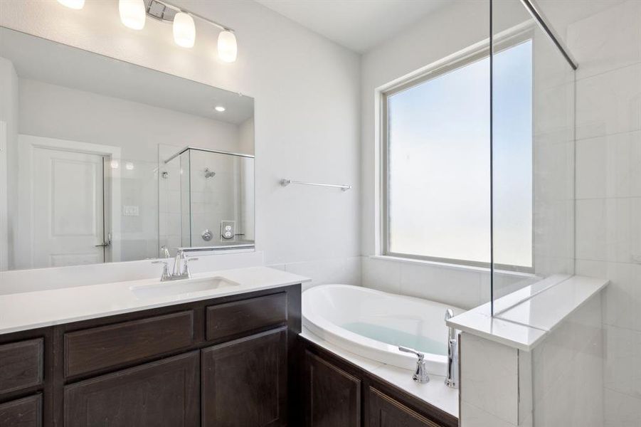 Bathroom featuring a healthy amount of sunlight, vanity, and independent shower and bath