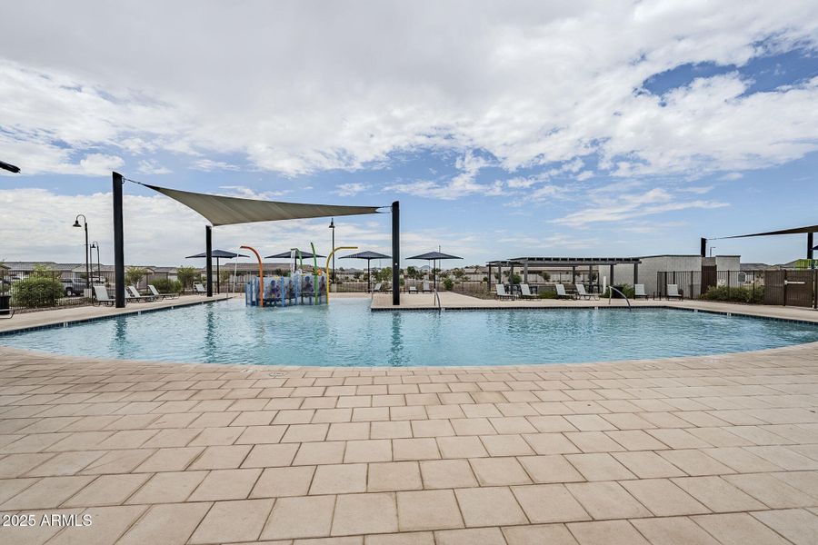 65-web-or-mls-Bee-11 65-web-or-mls-Bee-11