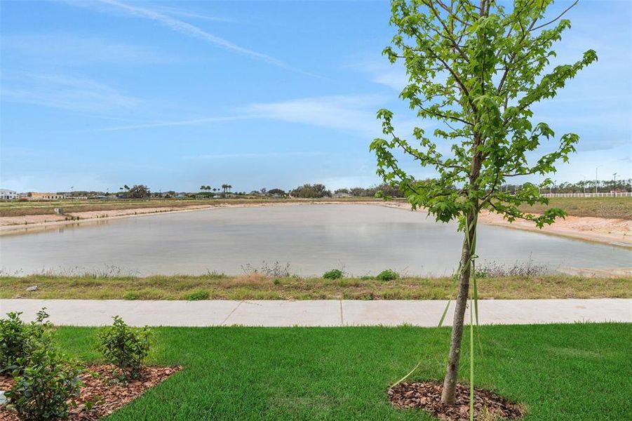Natural landscape and outdoor views near Shores at Mirada in San Antonio (Image 28).
