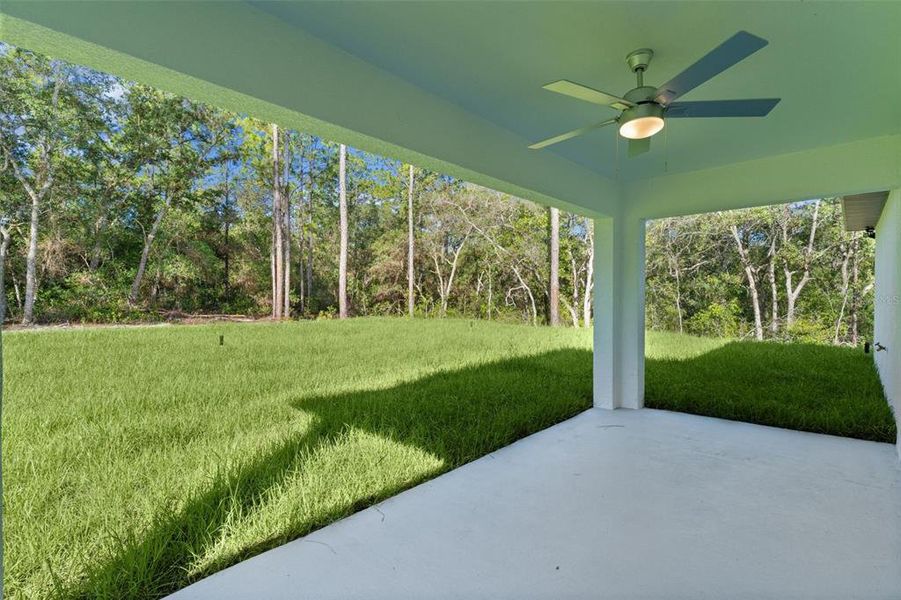 Exterior details and patio area of a home in , Citrus Springs (Image 26).