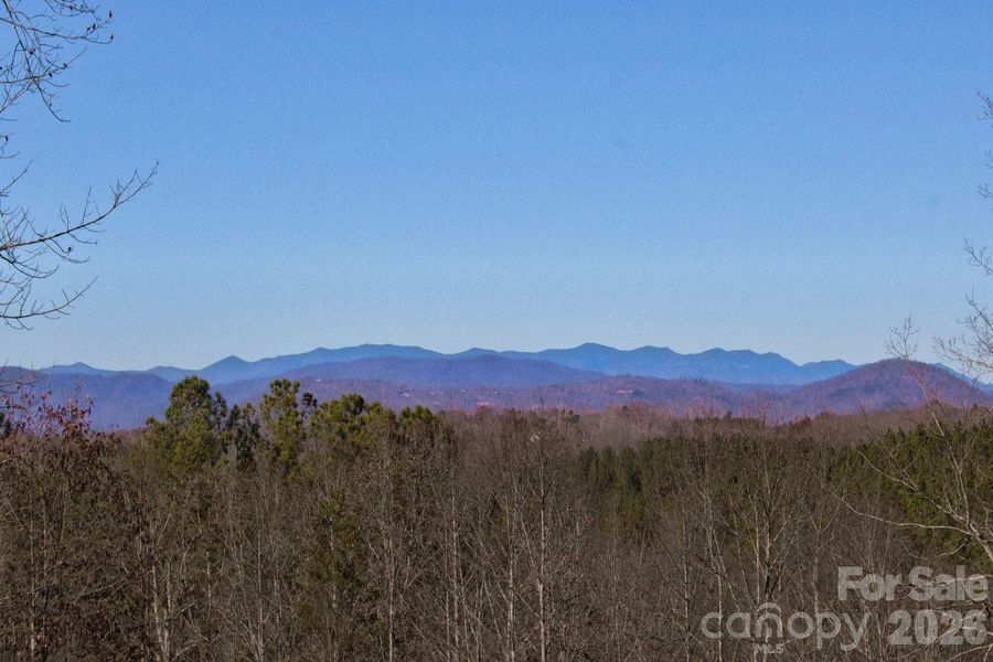Natural landscape and outdoor views near  in Rutherfordton (Image 16).