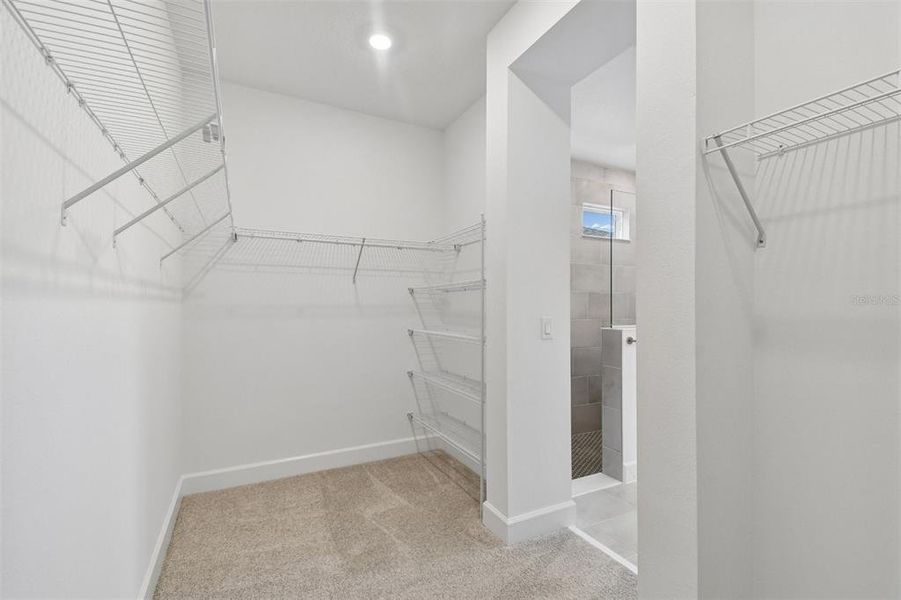 Spacious, unfurnished interior of a new home in Oakfield at Mount Dora Village Series, Mount Dora (Image 21).
