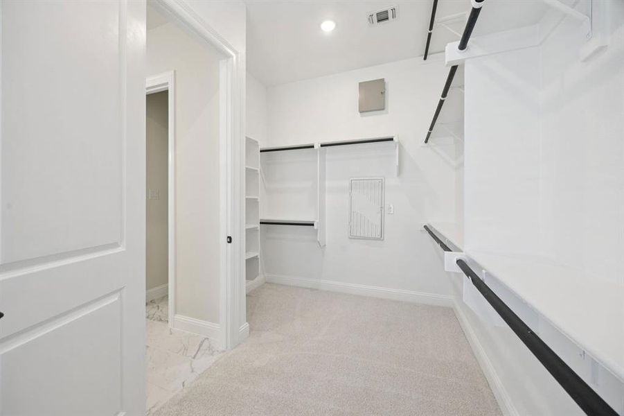 28-1016Sunflower_028 28-1016Sunflower_028