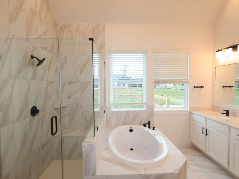 Owner's Bathroom