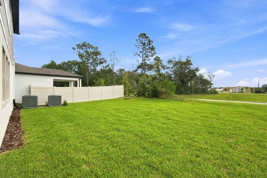 Backyard