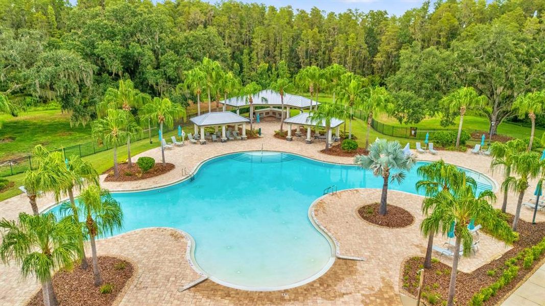 Community amenities in , Tampa (Image 61).