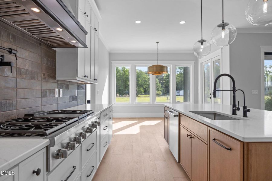 38-web-or-mls-IMG_4646