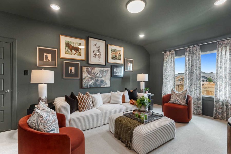 Entertainment Room
