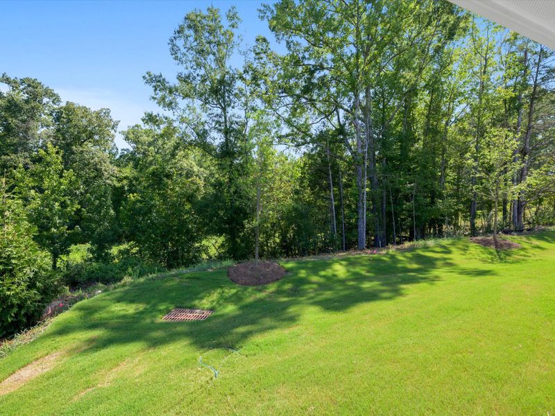 Natural landscape and outdoor views near Westview Towns in Waxhaw (Image 37).