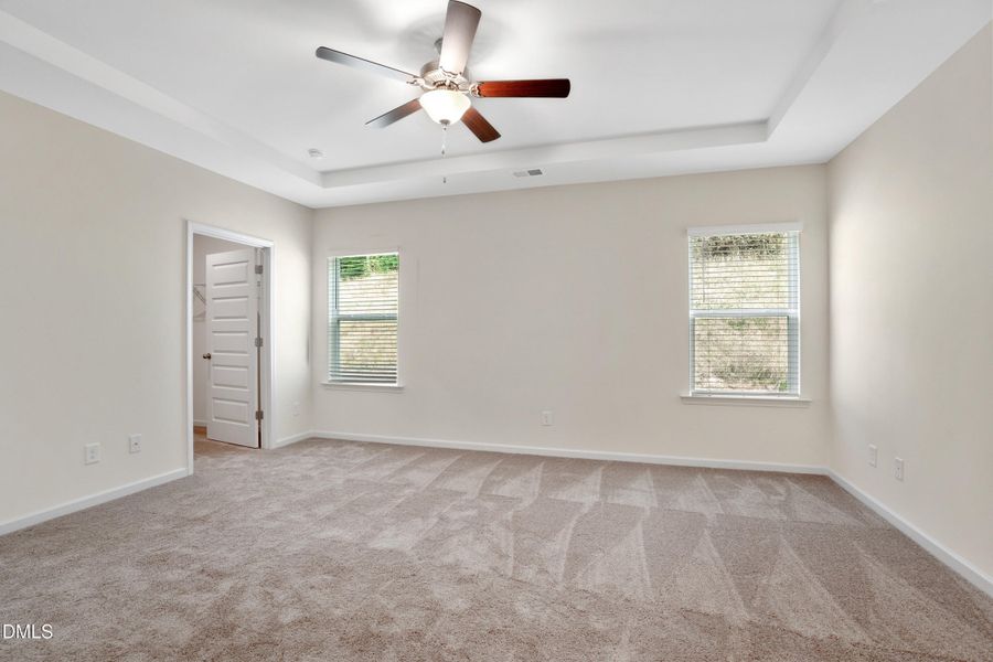 Representational Photo