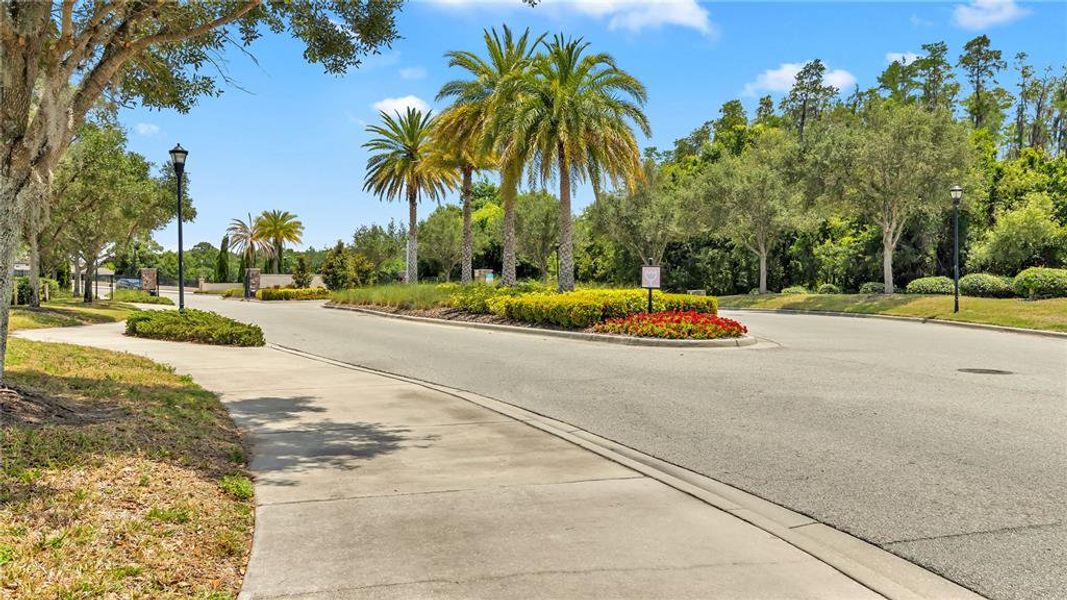 Natural landscape and outdoor views near Sereno in Wimauma (Image 40).