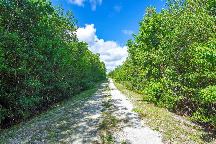Natural landscape and outdoor views near in Vero Beach (Image 33). Natural landscape and outdoor views near in Vero Beach (Image 33).