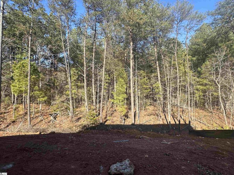 Natural landscape and outdoor views near Shiloh Trail in Wellford (Image 21).