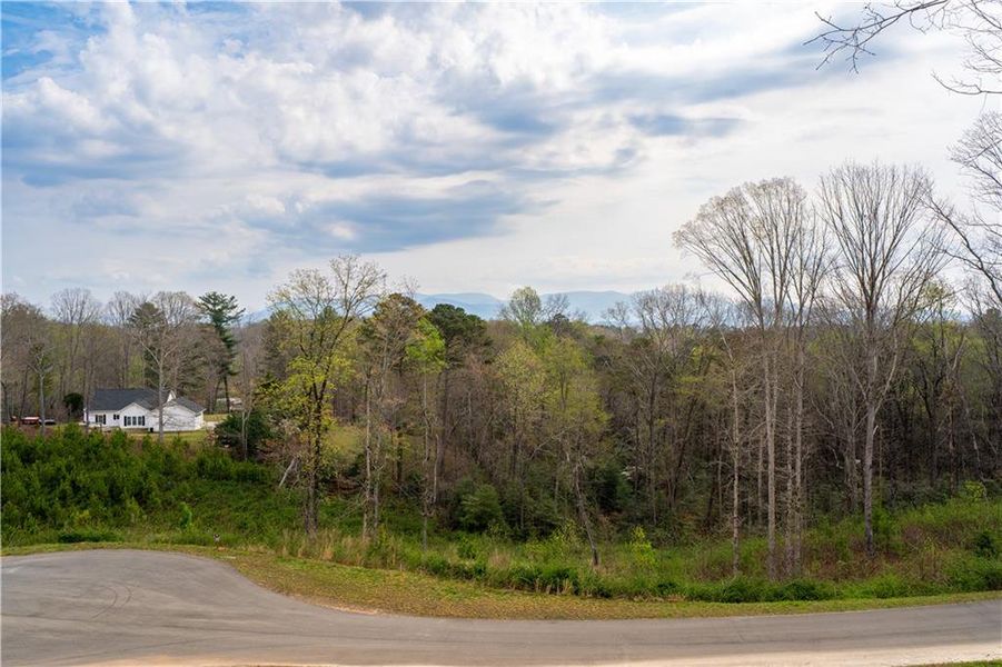 Natural landscape and outdoor views near  in Ellijay (Image 51).