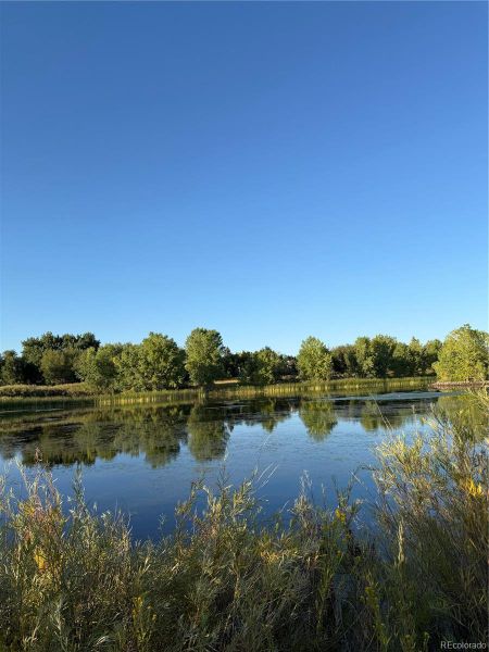 Natural landscape and outdoor views near  in Louisville (Image 46).