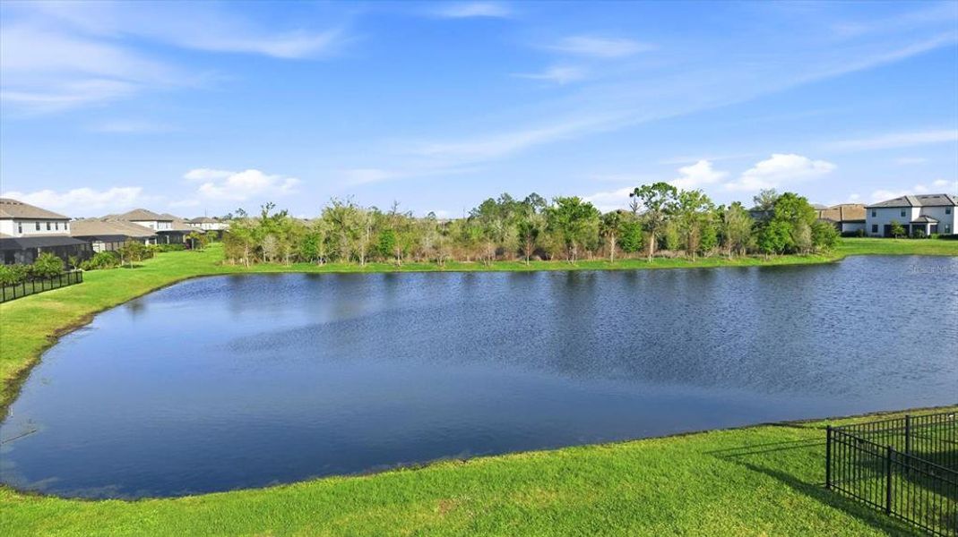 Natural landscape and outdoor views near  in Bradenton (Image 60).