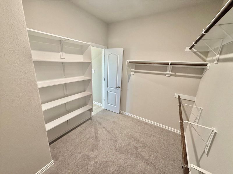 Walk in closet with light colored carpet Walk in closet with light colored carpet