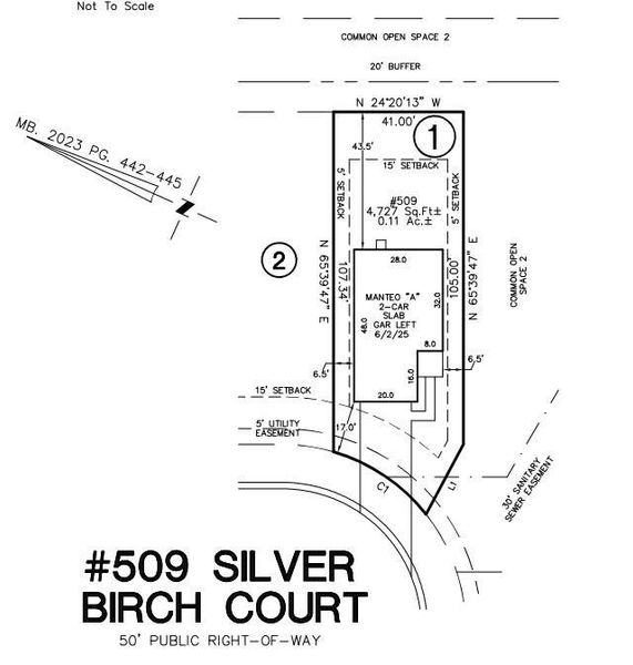 509 Silver Birch Court preliminary plot plan