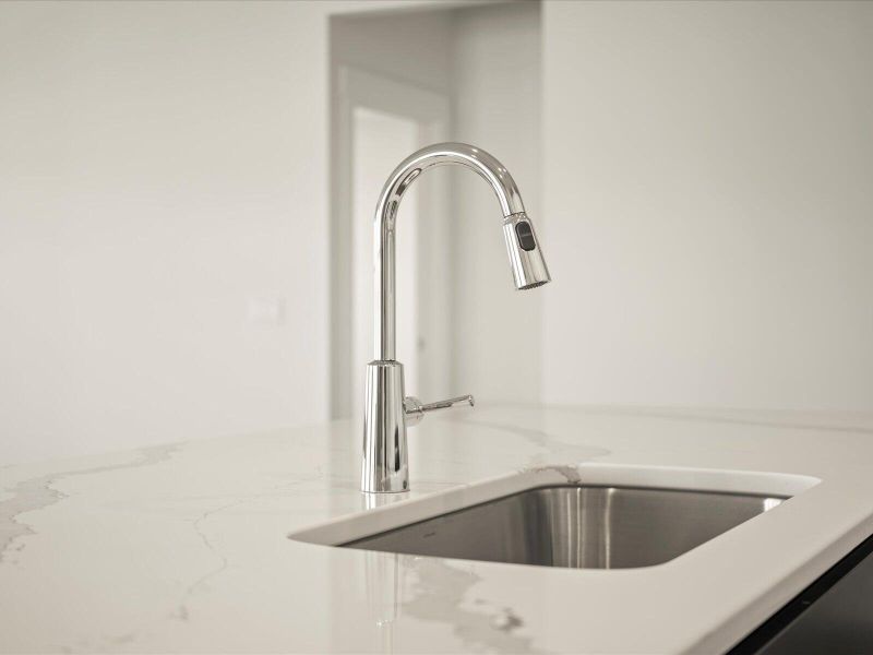 Close-up of interior finishes inside a home in The Coves at Lakes of Cane Bay, Summerville (Image 10).
