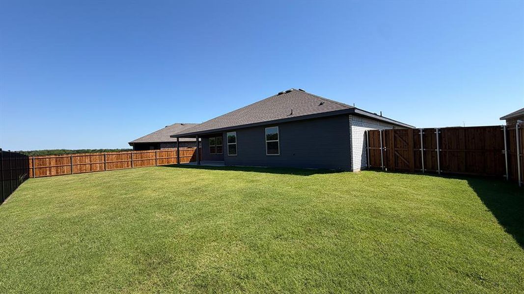 Expansive grass backyard with wood privacy fencing Expansive grass backyard with wood privacy fencing