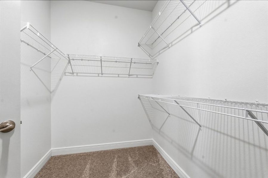 Spacious, unfurnished interior of a new home in Eden Hills, Lake Alfred (Image 38).
