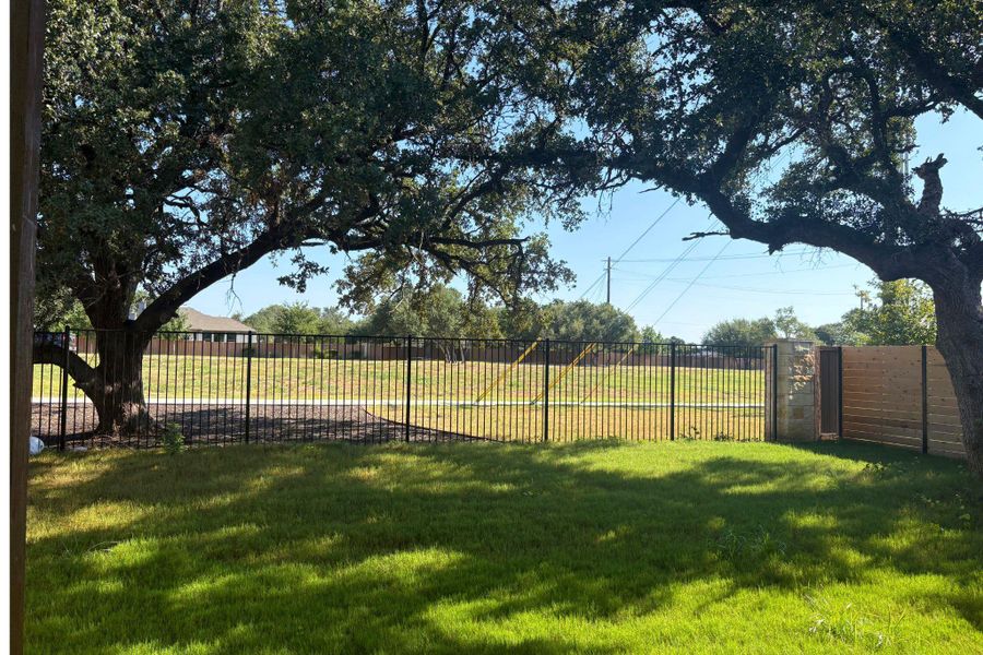 Mature shade trees and a secure metal fence border this grassy back lawn. Mature shade trees and a secure metal fence border this grassy back lawn.