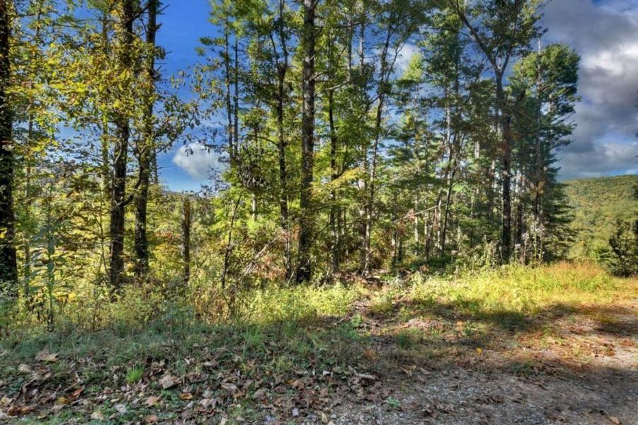 Natural landscape and outdoor views near  in Blue Ridge (Image 12).