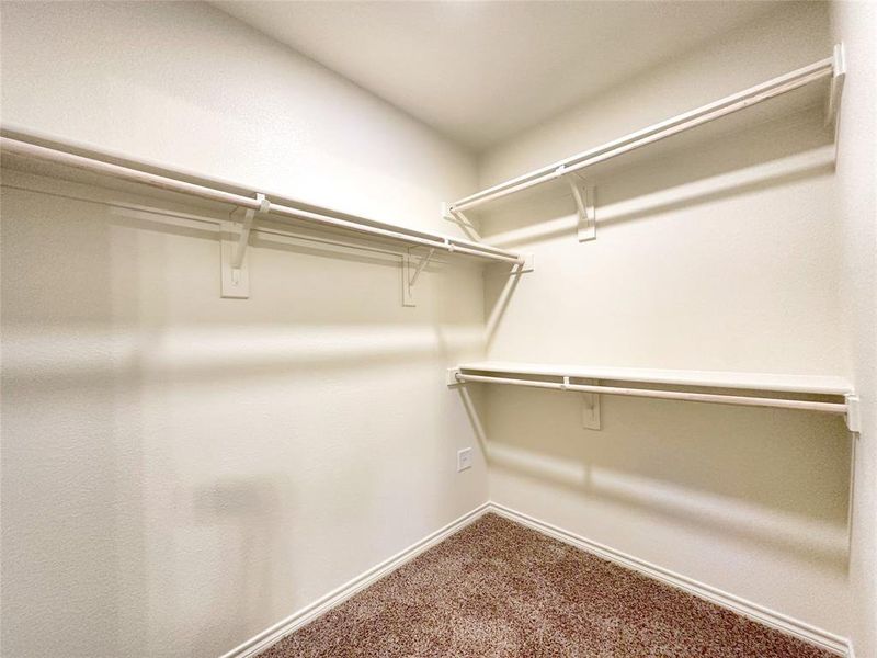 Spacious closet featuring dark carpet
