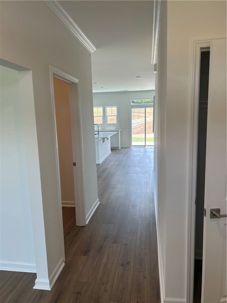 Long sight lines and warm wood floors define this