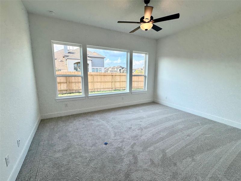 Main bedroom windows.