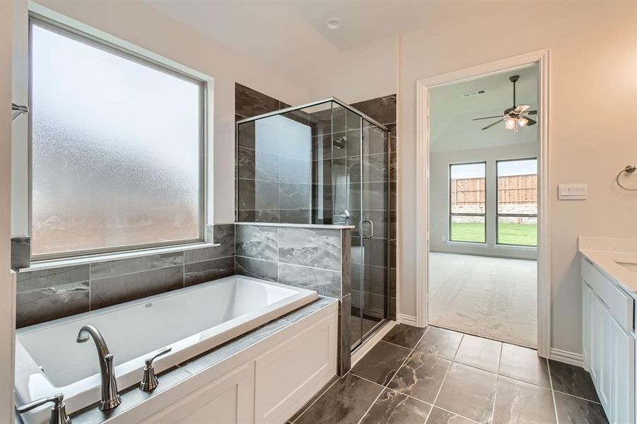 Bathroom featuring vanity, ceiling fan, and independent shower and bath