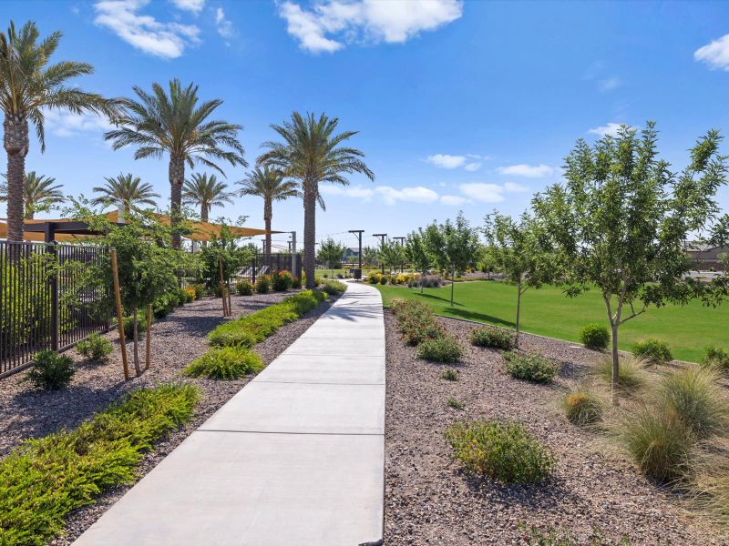 Community amenities in Bella Vista Farms Reserve Series, San Tan Valley (Image 23).