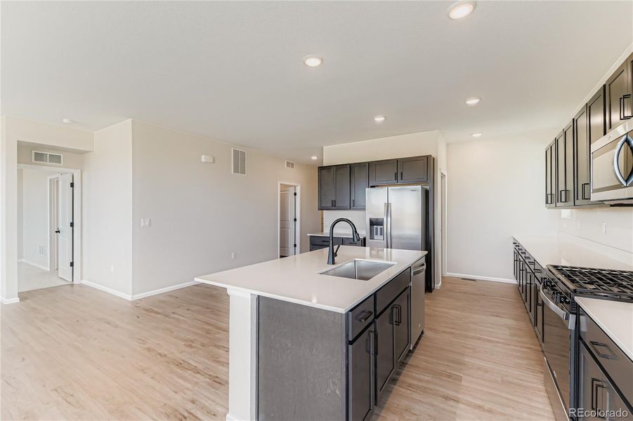 Large walk-in pantry (hidden)