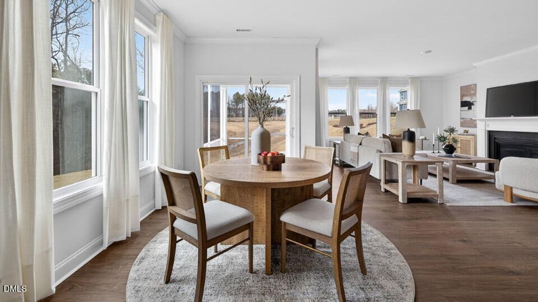 36 Pink Iris Ct Clayton10