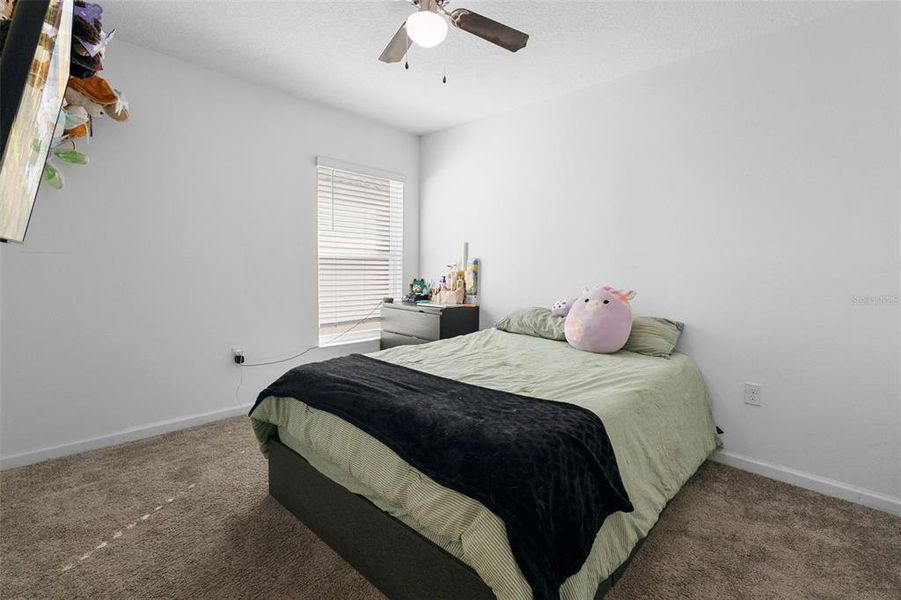 Furnished interior view inside a new home in Vineland Reserve, Osteen (Image 29).