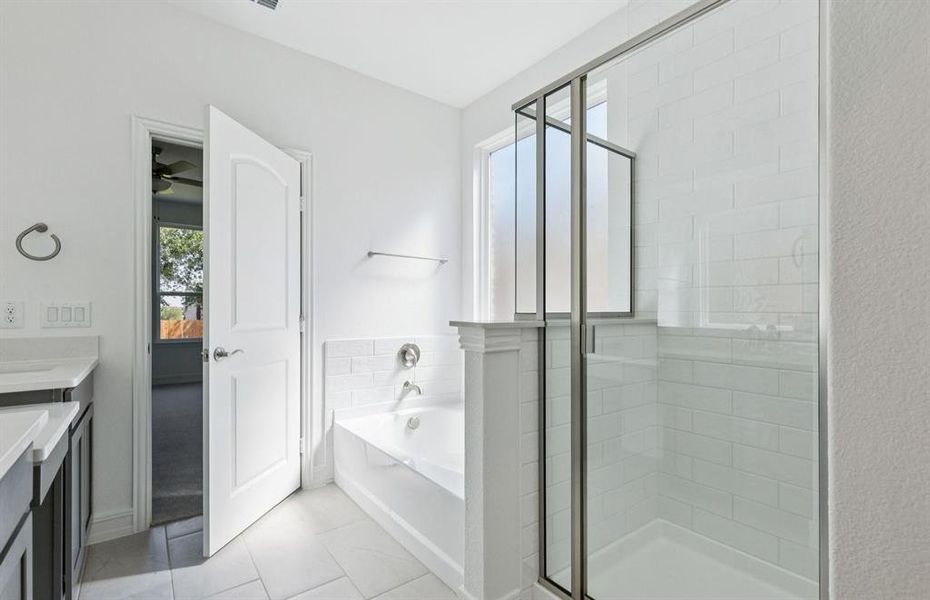 Owner's bath with tub and shower