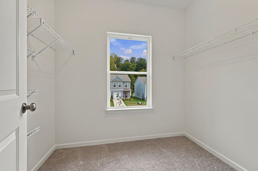 Spacious, unfurnished interior of a new home in Ironhorse, Dickson (Image 22).
