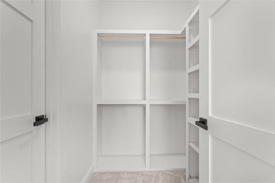 Walk in closet featuring light carpet