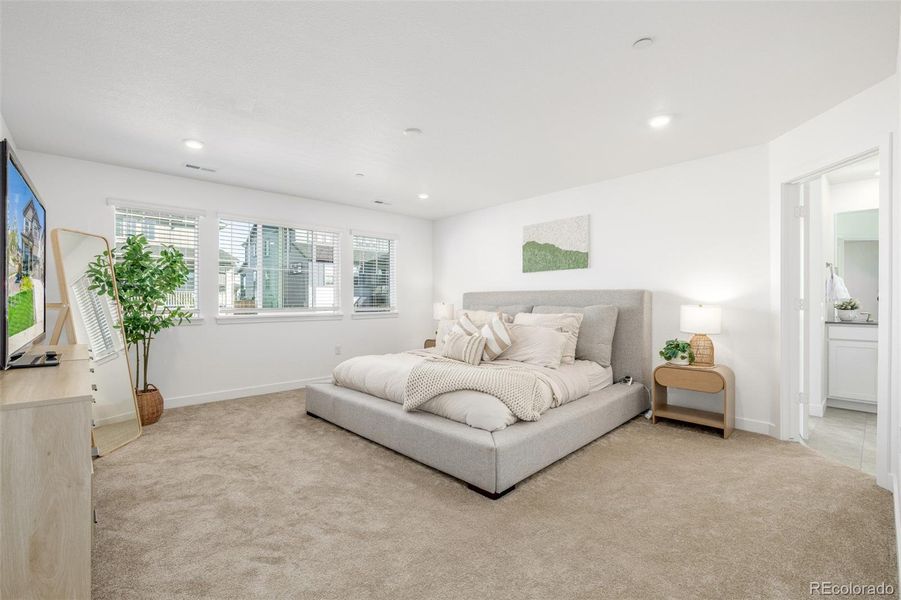 Owners' Suite Owners' Suite